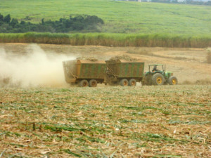 cana-de-açúcar, colheita, transbordo