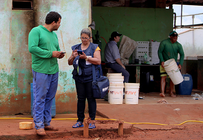 IBGE, censo agropecuário