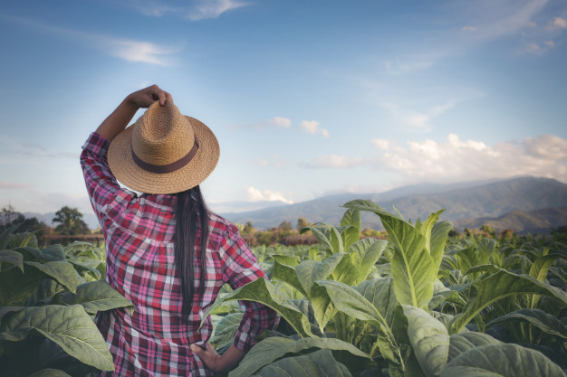 Oportunidades no agro: como fazer a transição de carreira com sucesso