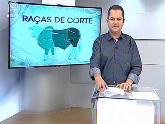 Raça Bonsmara é destaque em qualidade de carne e se firma no mercado de carne gourmet