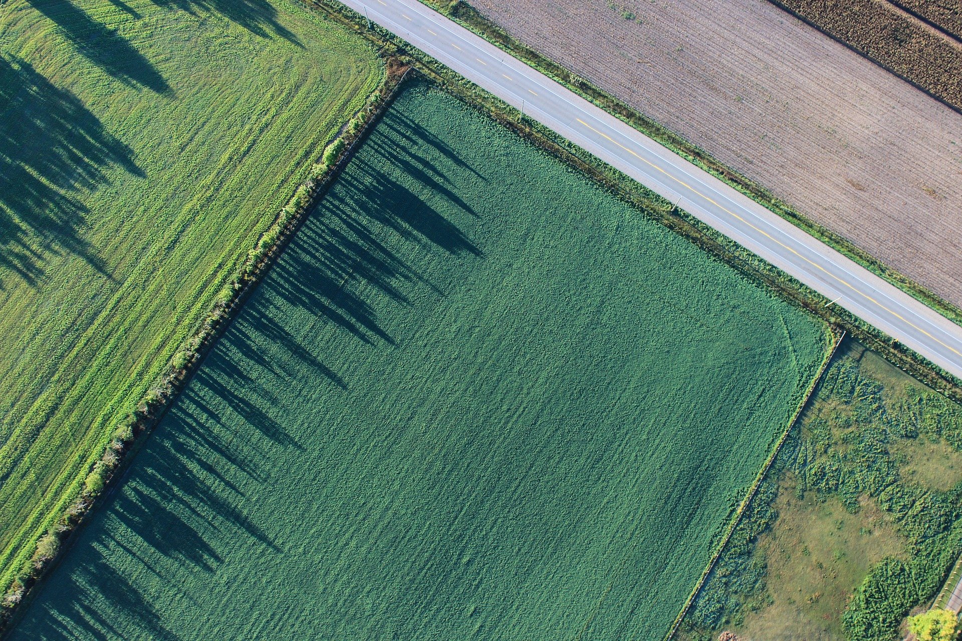 vista aérea de plantação fiagro mato grosso