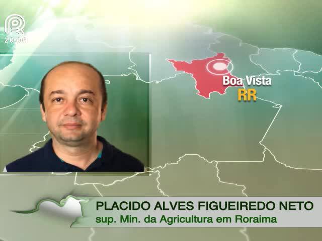 Êxodo venezuelano traz risco de aftosa ao Brasil