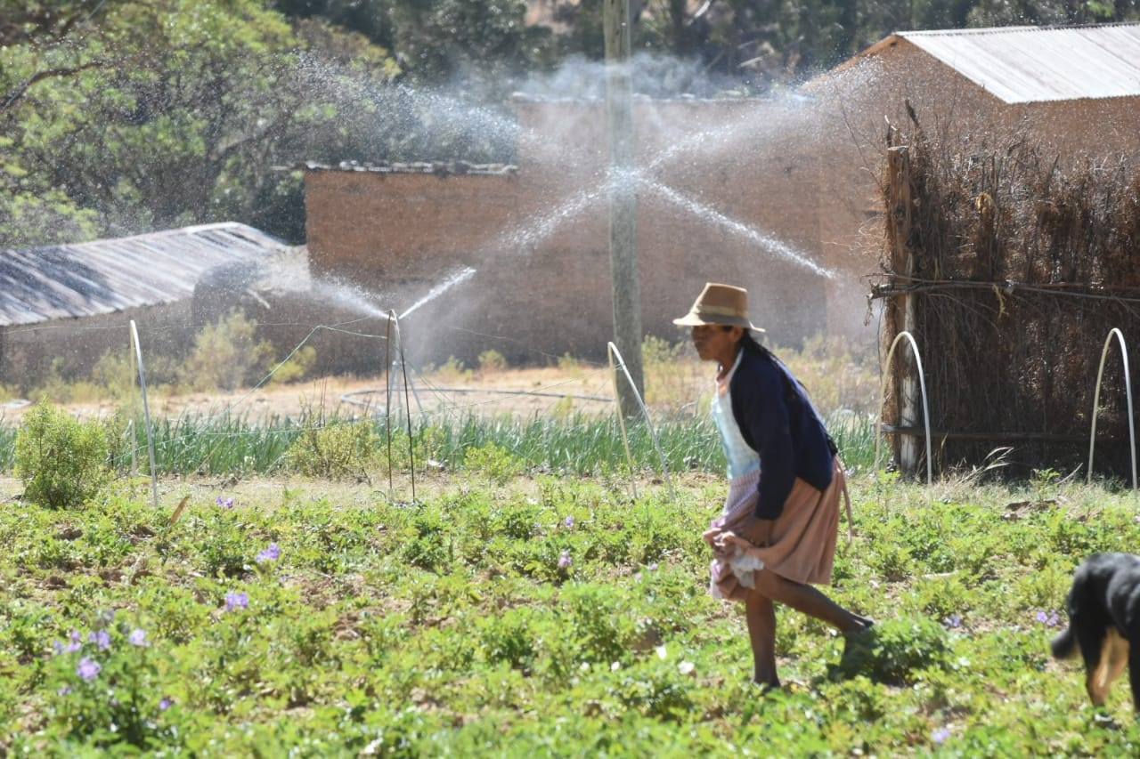 Produção agrícola na Bolívia