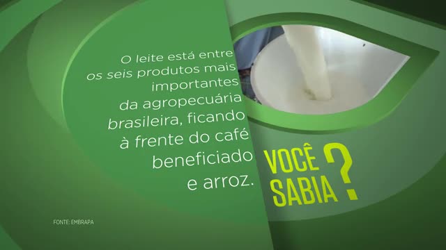 Blog Minuto do Sabor - Pudim de leite