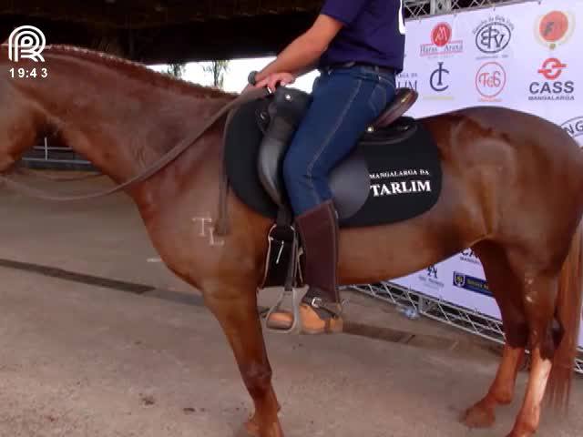 Mangalarga volta à ExpoZebu após 13 anos