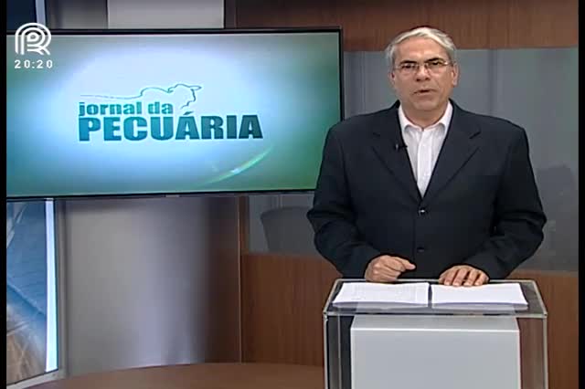 Saiba a importância da veterinária na apicultura