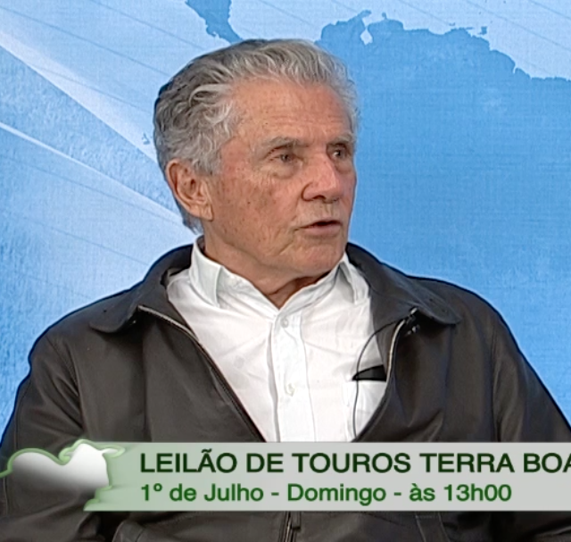 Leilão Terra Boa oferta touros de qualidade genética