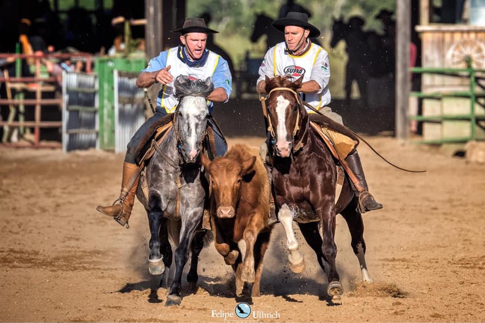 cavalo crioulo Guitarreiro Fortacho - freio de ouro