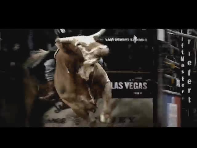 Os brasileiros favoritos para ganhar o Built Ford Tough Series da PBR