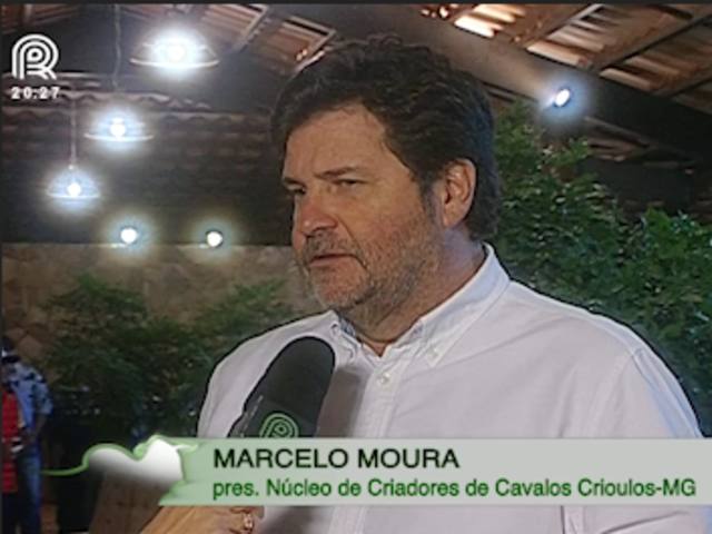 Confira a participação do cavalo crioulo na Equishow