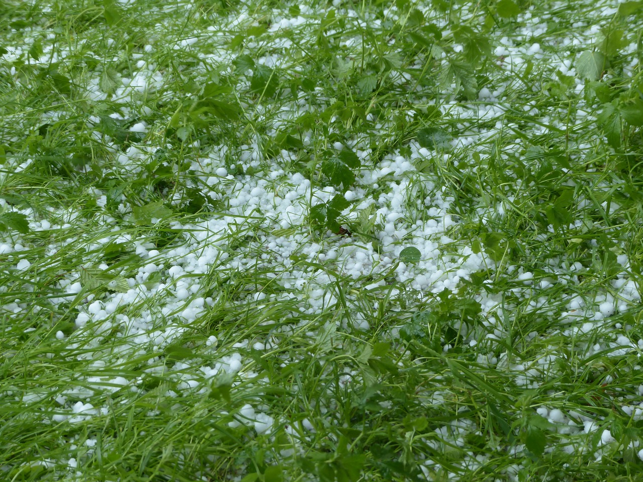 granizo