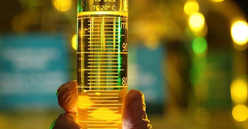 Déficit global de biocombustíveis pode chegar a 45% até 2040