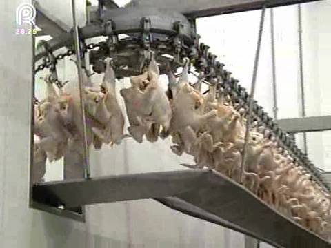 Frango: preços estão mais altos do que em 2015