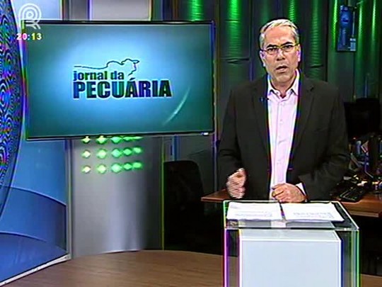 Mercado de suínos passa por reajustes após dificuldades