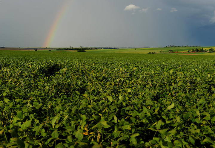 Monitoramento da lavoura é tema do DuPont Colheita Farta