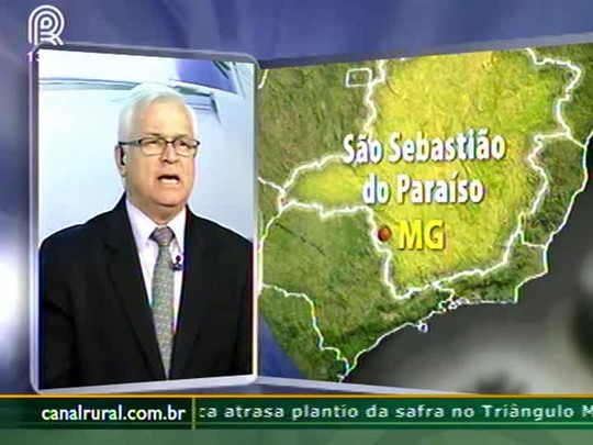 Seca castiga produção de café em São Sebastião do Paraíso (SP) e perdas somam 15%