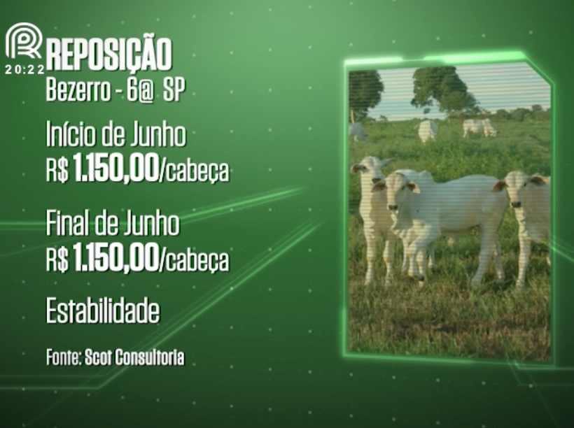 Mercado de reposição enfrenta dificuldades para concretizar negócios