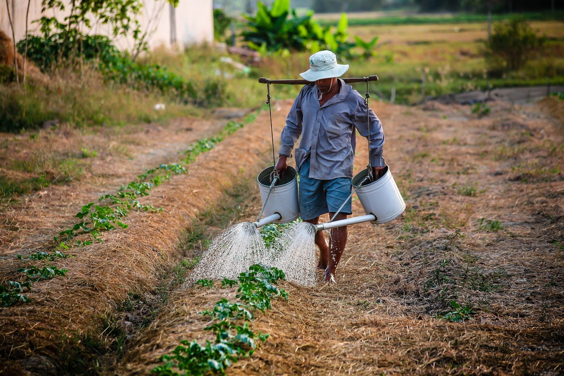 Agricultor familiar carregando produtos, garantia-safra, terra