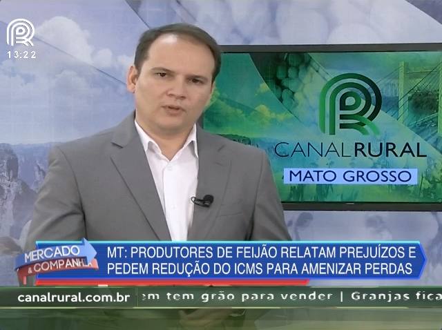 MT: produtores de feijão querem redução do ICMS