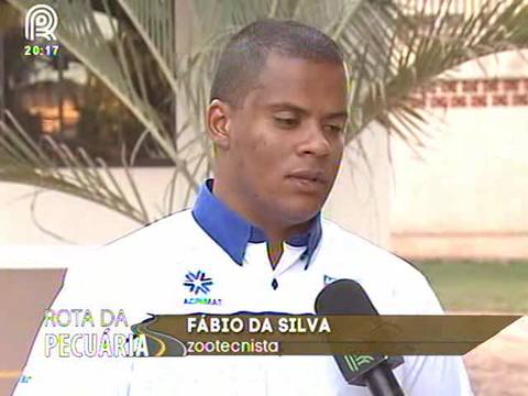 Saiba quais ingredientes podem substituir o milho