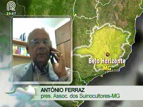 Custos na produção de suínos causam crise em MG