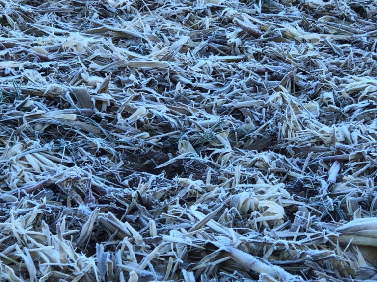 Foto: Paulo Vinícius Demeneck Vieira/ Juranda (PR)