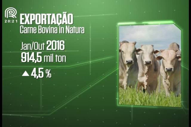 Exportação de carne bovina in natura cai 18%