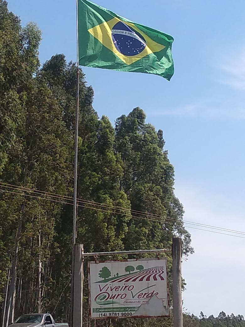 INDEPENDÊNCIA