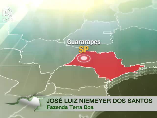 Canal Rural exibe o tradicional leilão Terra Boa