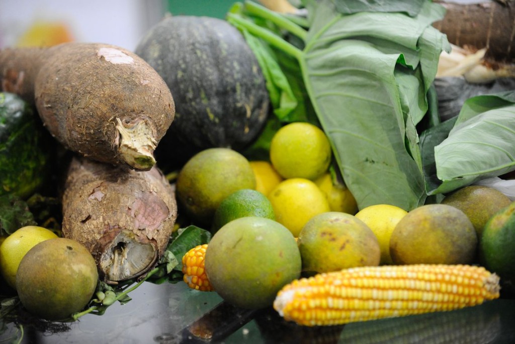 Alimentos orgânicos