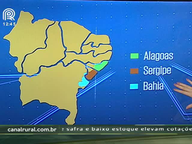 SE, AL e BA; seria essa a nova fronteira agrícola para a soja?