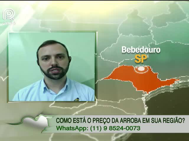 Boi gordo: cotação se recupera na última semana