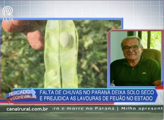 Paraná: seca gera incerteza para a safra de feijão