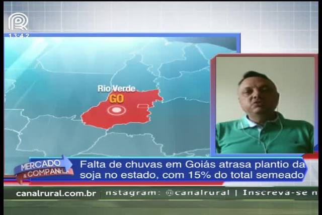 Goiás: apenas 15% da área de soja foi semeada