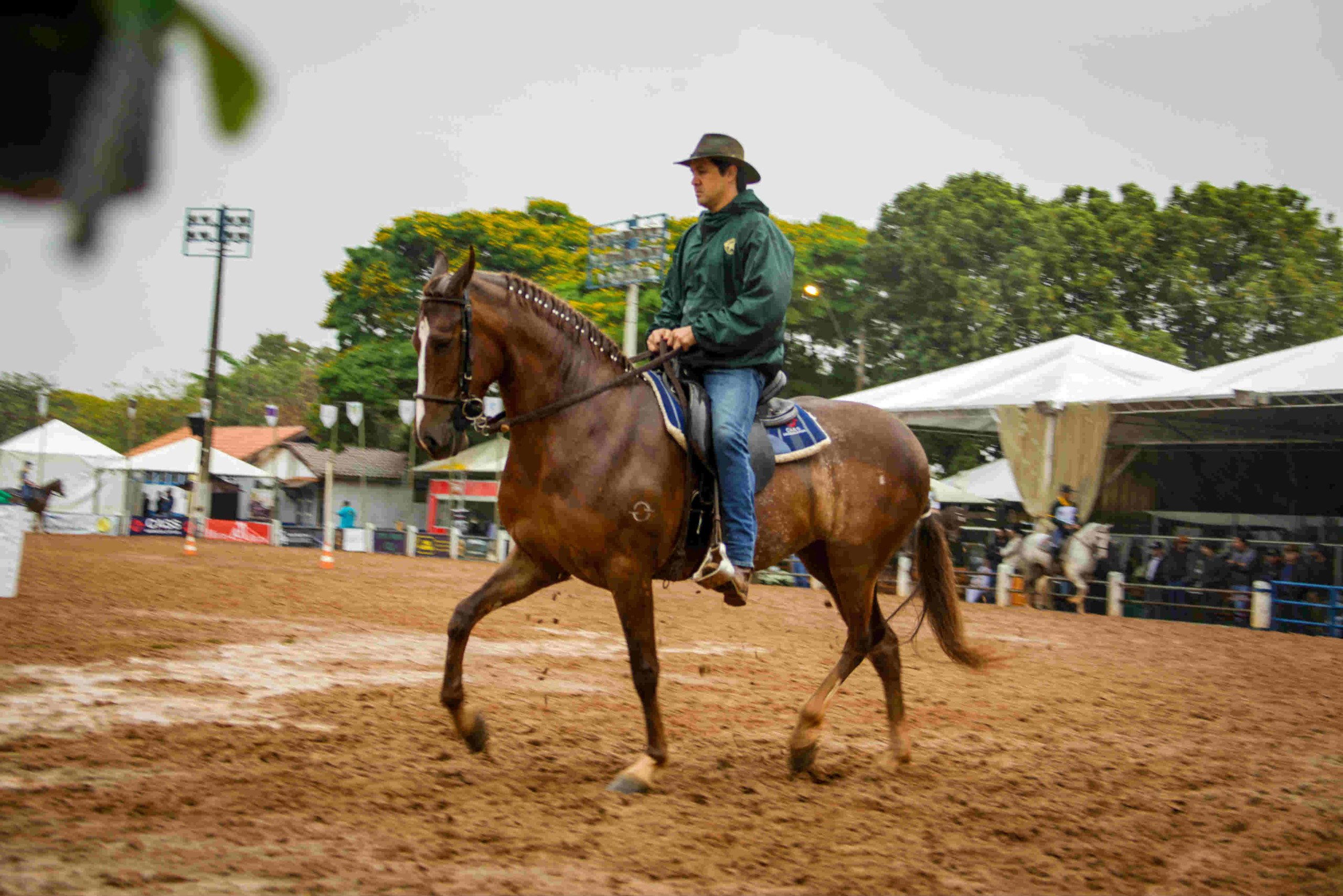 Foto: Márcio Mitsuishi