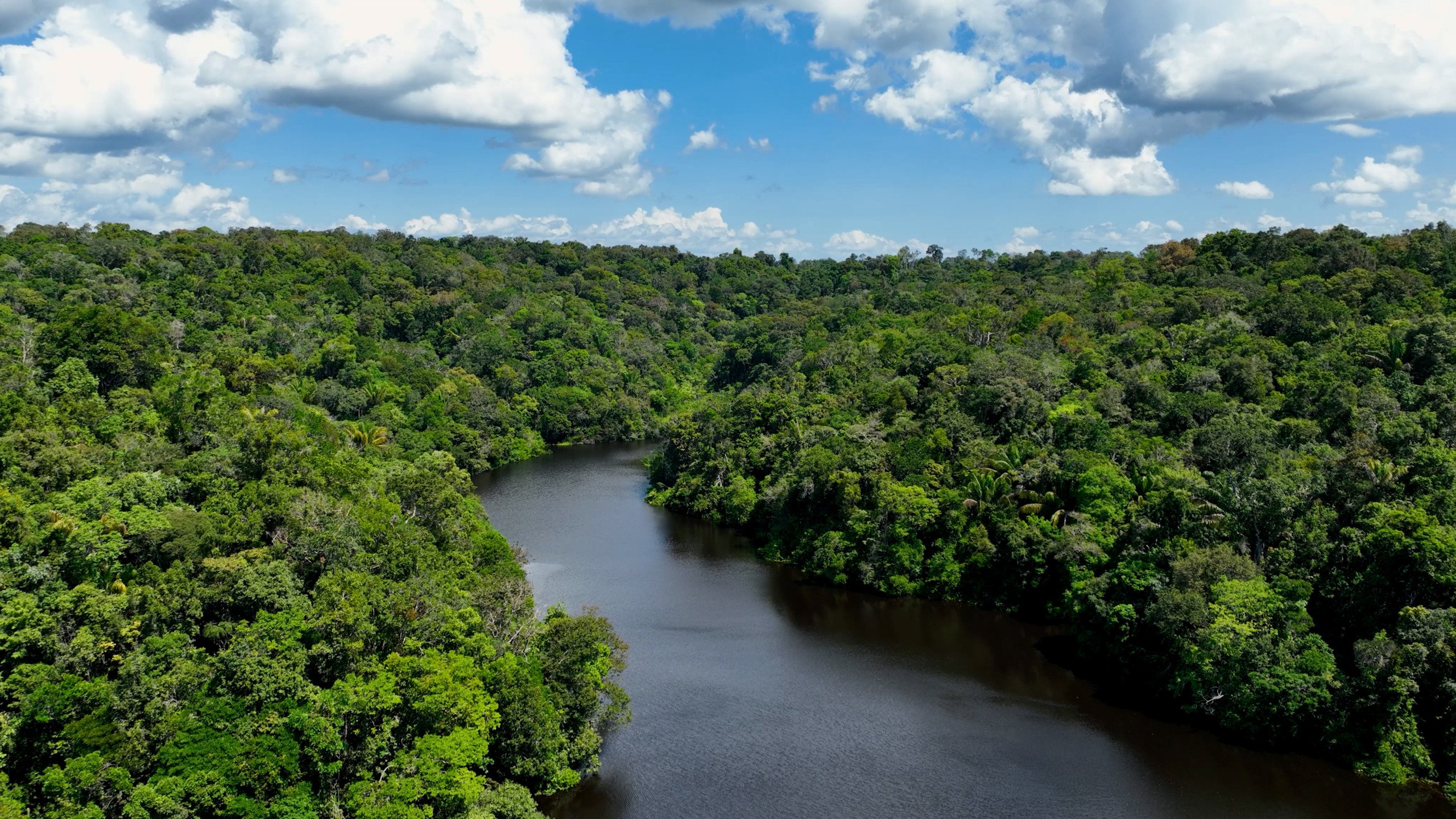 Amazônia