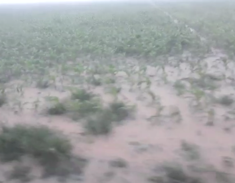 Lavouras de soja ficam submersas após tempestade