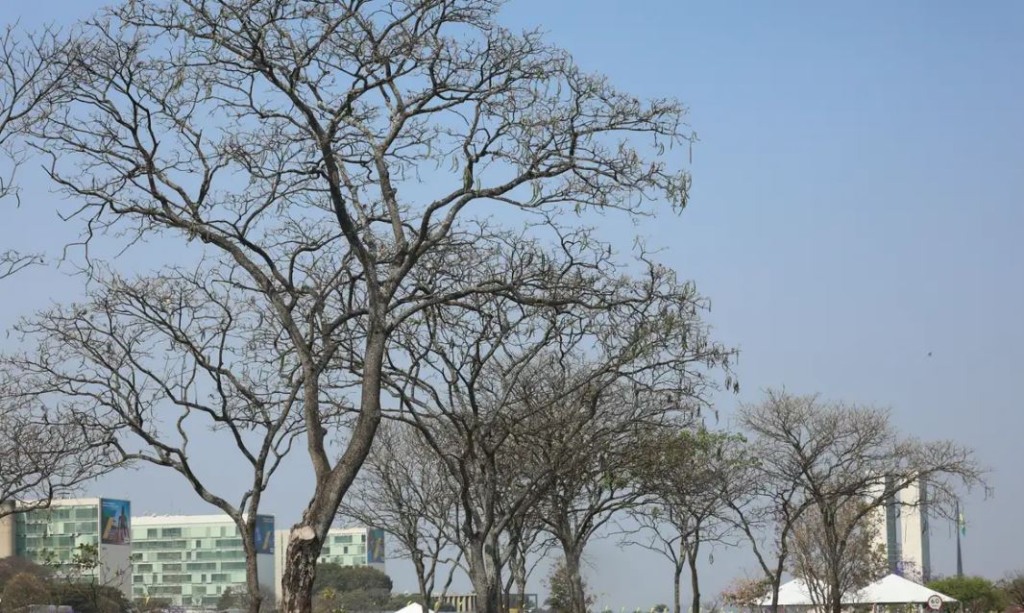 seca em Brasília seca em Brasília