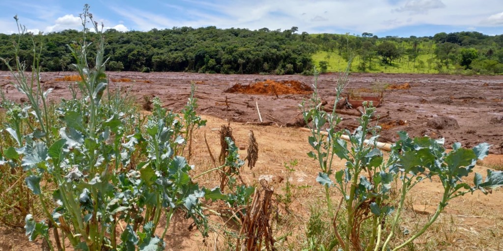 Brumadinho, barragem, Vale, minério, lama tóxica