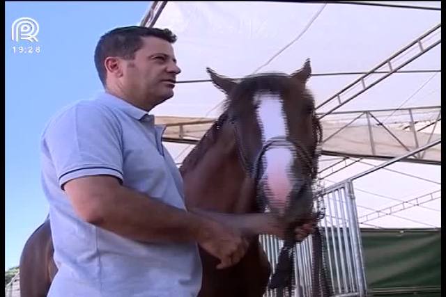 Saiba as vantagens de aderir ao seguro de animais