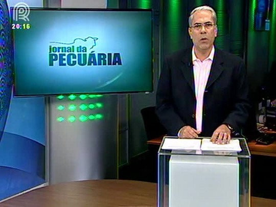 Exportação de carne suína tem queda de 19% em agosto