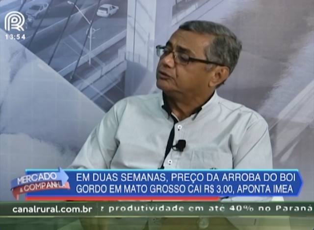 MT: preço do boi gordo caiu R$ 3 em duas semanas