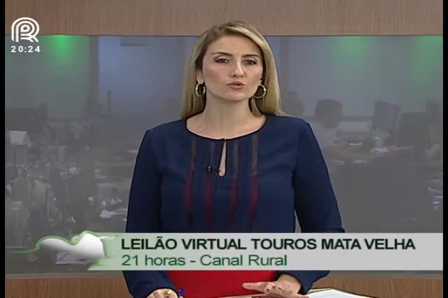 Canal Rural exibe leilão virtual Arco Azul