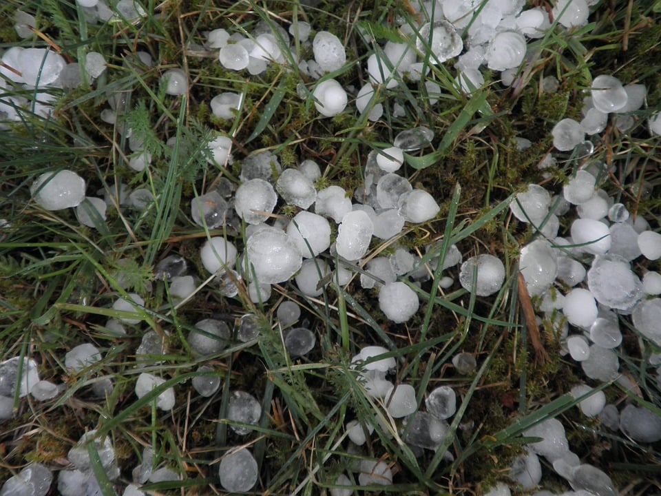 granizo sobre pasto visto de cima, tempo, previsão do tempo