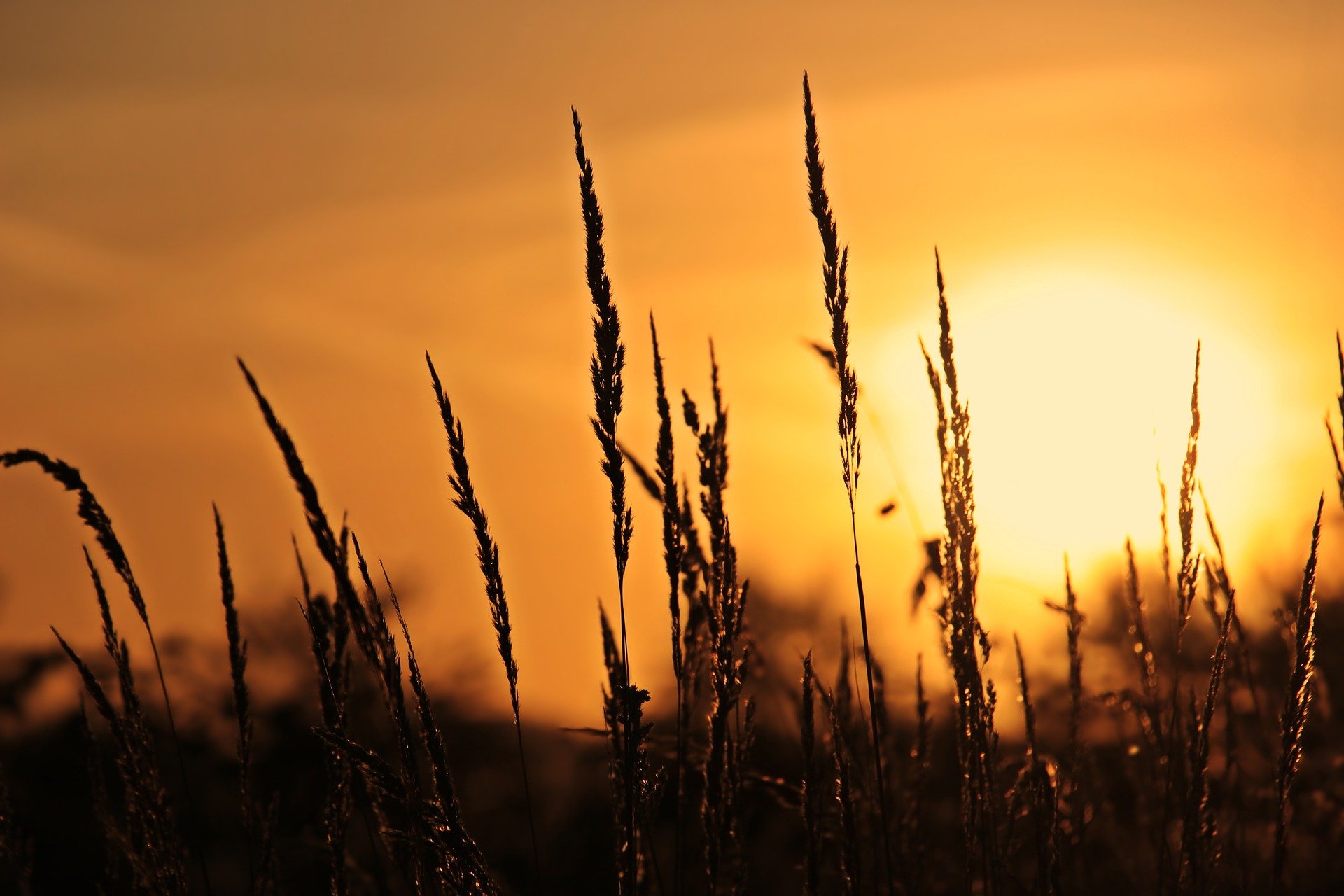 fim de semana, clima, tempo, por do sol