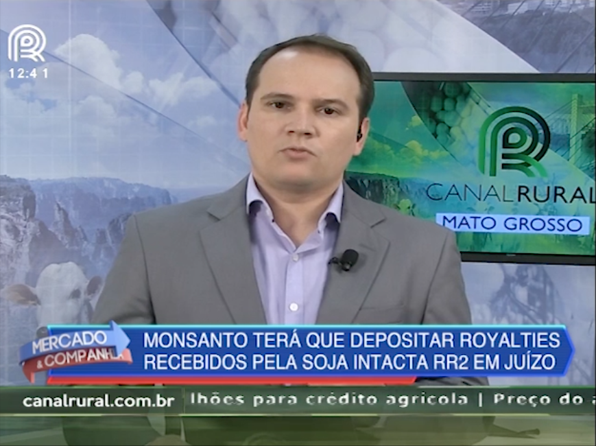 Justiça decide que Monsanto deposite royalties recebidos da soja RR2