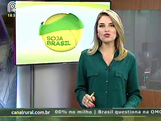 Perto do prazo final, Tupanciretã (RS) fez apenas 3% do CAR