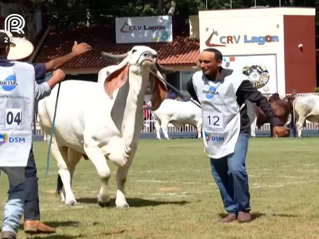 ExpoZebu encerra edição com saldo positivo