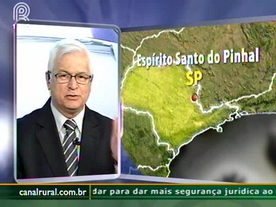 Clima desfavorável reflete no desenvolvimento das floradas de café brasileiro