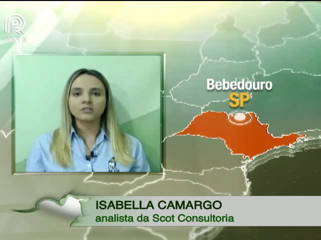 Exportações afetam mercado de boi gordo